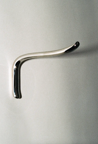 Gavi Hook, Polished Nickel