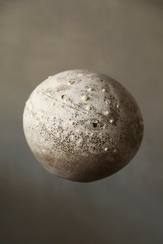 Salty Ball Pendant Light