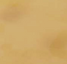 Honey Matte